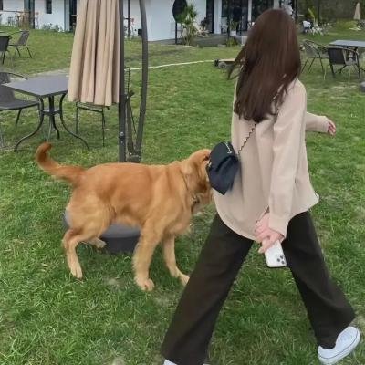 致命目击