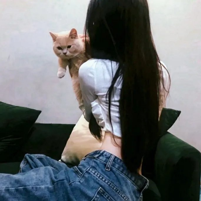 我的麻吉4个鬼